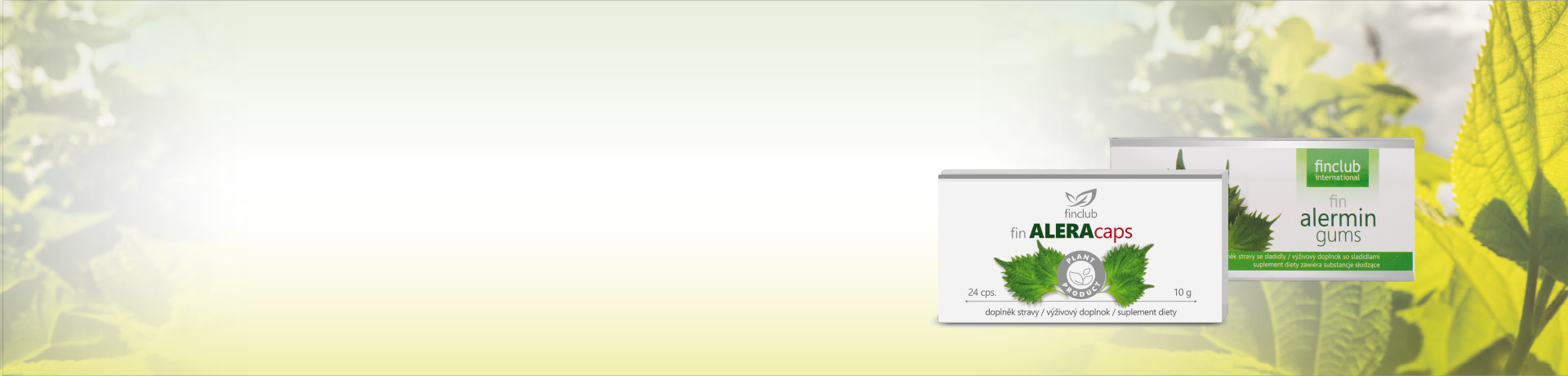 Extract <b> of shrubbery perilla </b> 